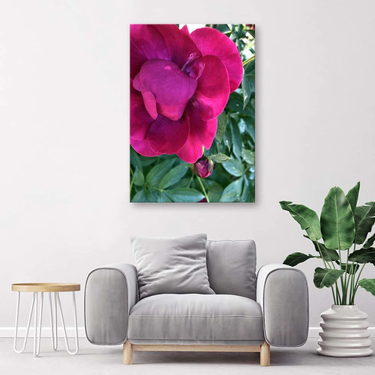 Canvas Print Peony Pink Flower