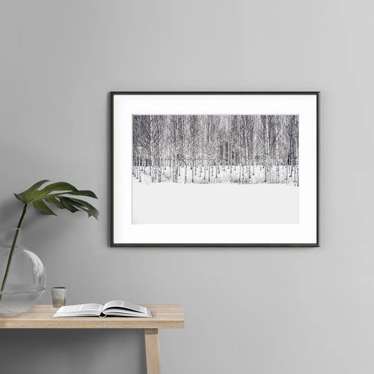 Finland Forest - Picture Frame Photograph Print on Paper