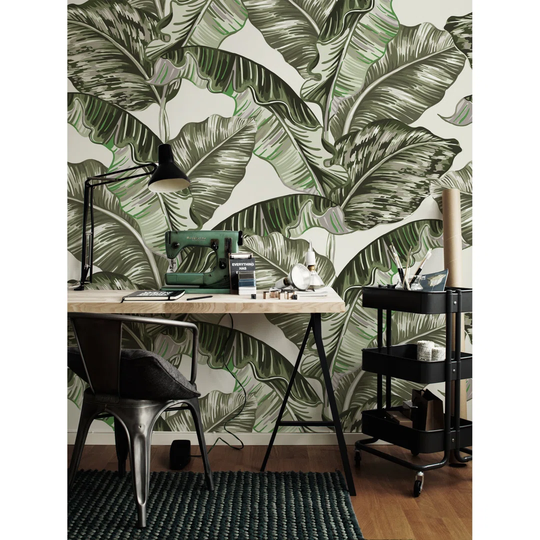 Aquene 3.6m x 2.5m Matte Wallpaper Roll