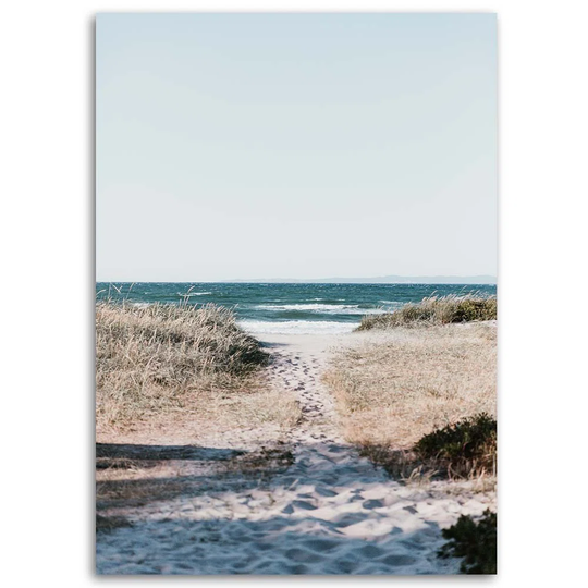 Canvas Print Way To The Beach Sand