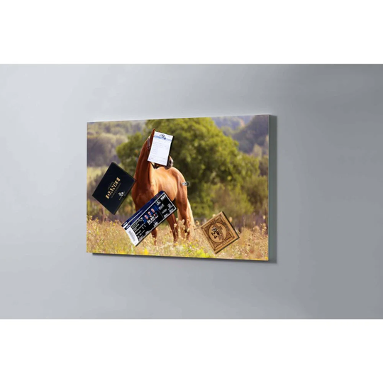 Sassnitz 75 x 50cm Magnetic Board with 5 magnets