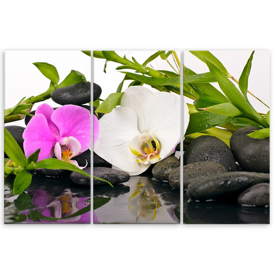 Canvas Print Zen Flowers Bamboo Stone