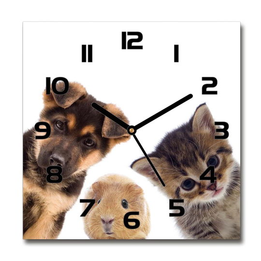 Hezeki Pets Silent Wall Clock
