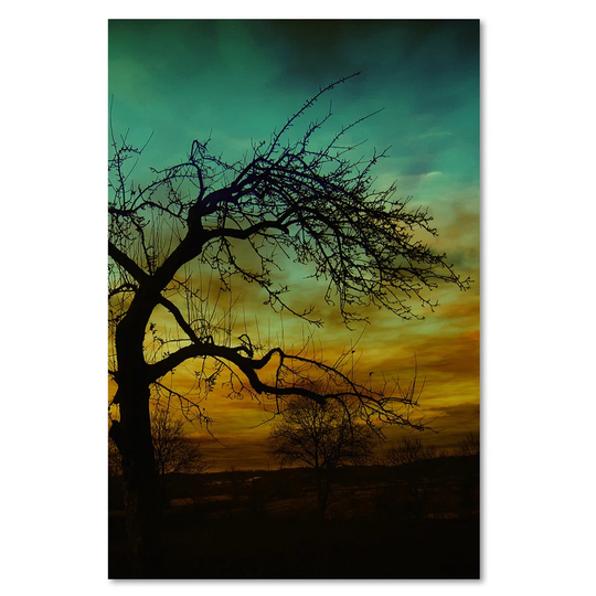 Canvas Print, Green Landscapes 16374