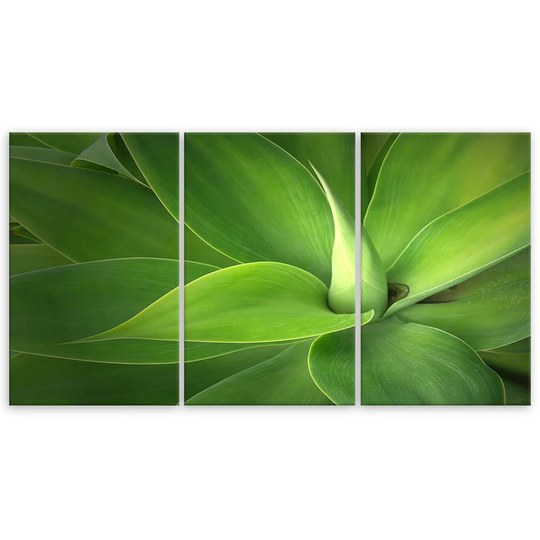 Canvas Print Green Leaf Plants