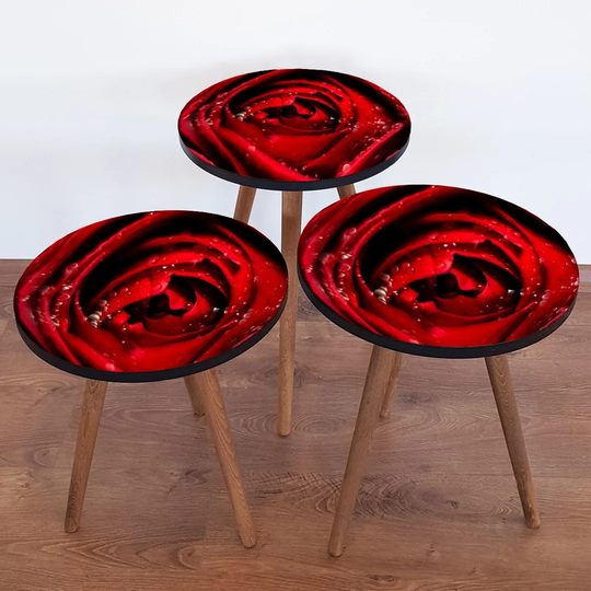 Armbruster 3 Piece Nest of Tables