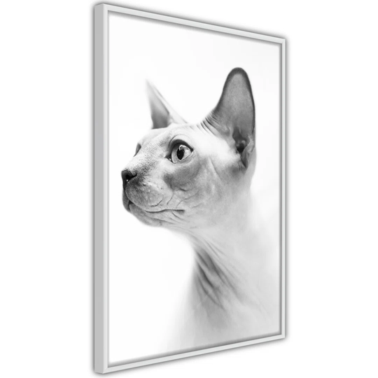 Poster - Sphinx