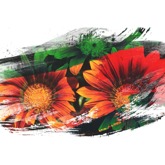 'Orange Flower' Graphic Art Print Poster
