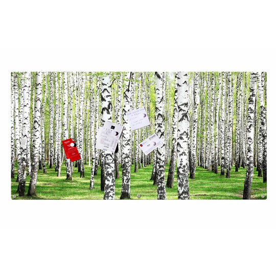 Birch Forest Magnetic Wall Mounted Photo Memo Board