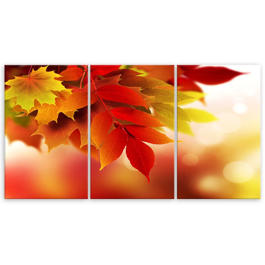 Canvas Print Autumn Leaves Nature