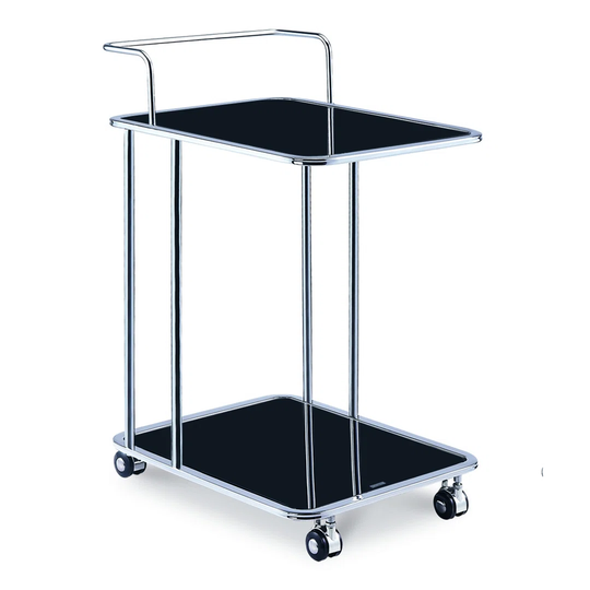 Utility Cart with 2 Shelves