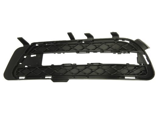 Ventilation Grille, bumper 6502073529915P