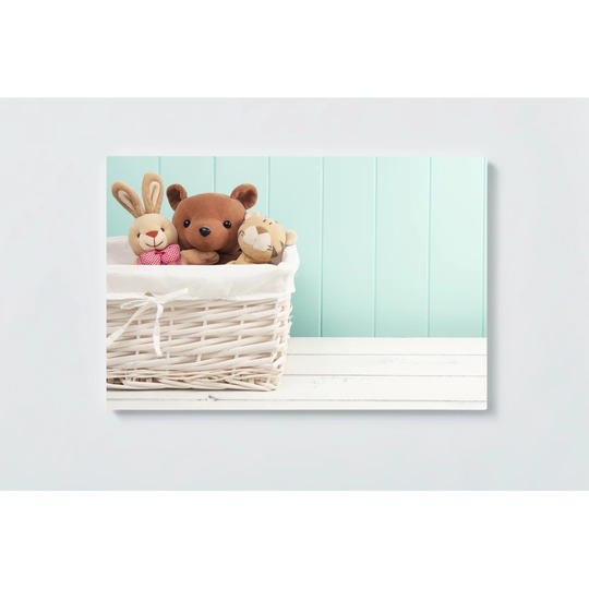 Stuffed Animal Magnetic Wall Mounted Cork Board