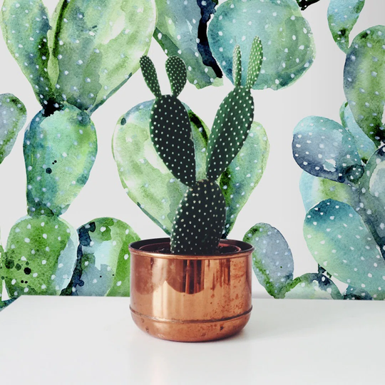 Anistyn Cactus Cacti Wallpaper