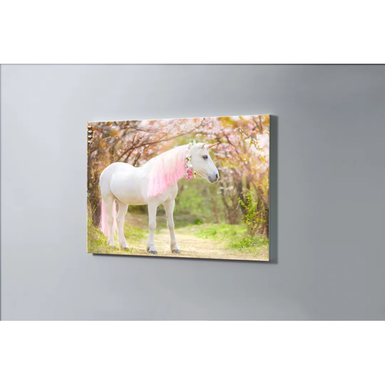 Unicorn Magnetic Wall Mounted Cork Board