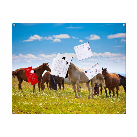 Horses Magnetic Wall Mounted Photo Memo Board