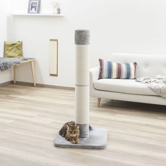Dasilva Scratching Post