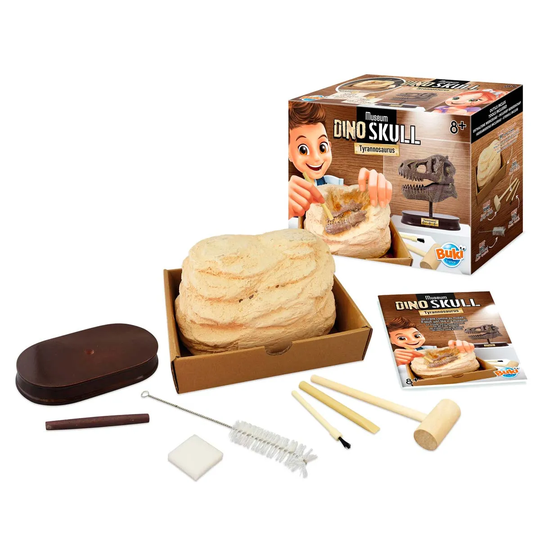 Buki France T-rex Museum Skull Excavation Set