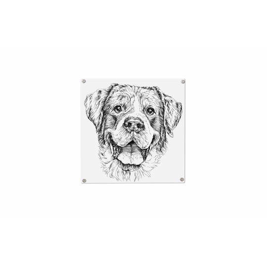 Dog Magnetic Wall Mounted Photo Memo Board