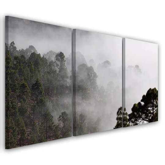 Canvas Print Forest In Fog