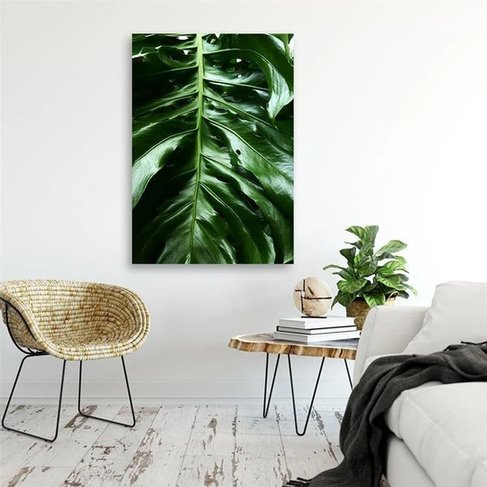 Canvas Print Monstera Leaf Nature Tropical