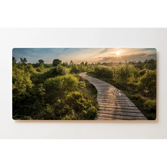 Backlight Motif Wall Picture Forest Sunrise Magnetic Cork Board
