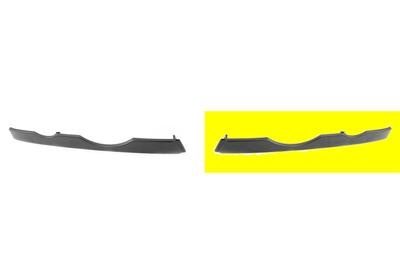 Headlight Trim 0685515