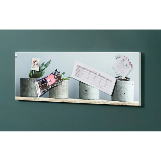 Notiz Motive Cactus Magnetic Wall Mounted Cork Board