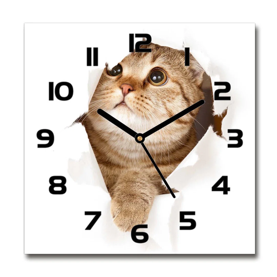 Hasancan Silent Wall Clock
