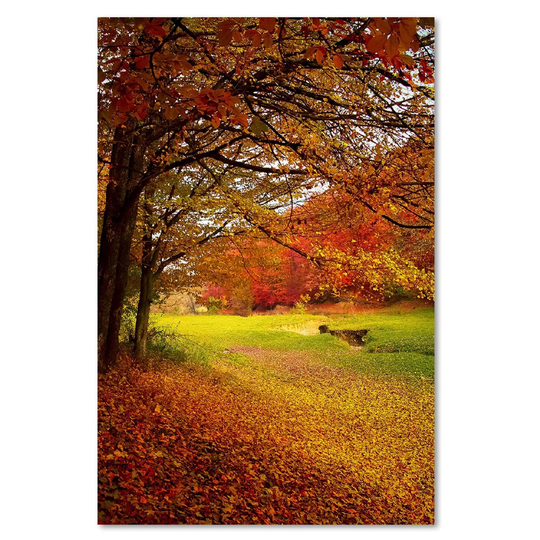 Canvas Print, Orange Landscapes 16364