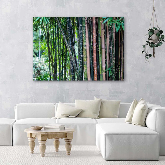 Canvas Print Bamboo Forest Green