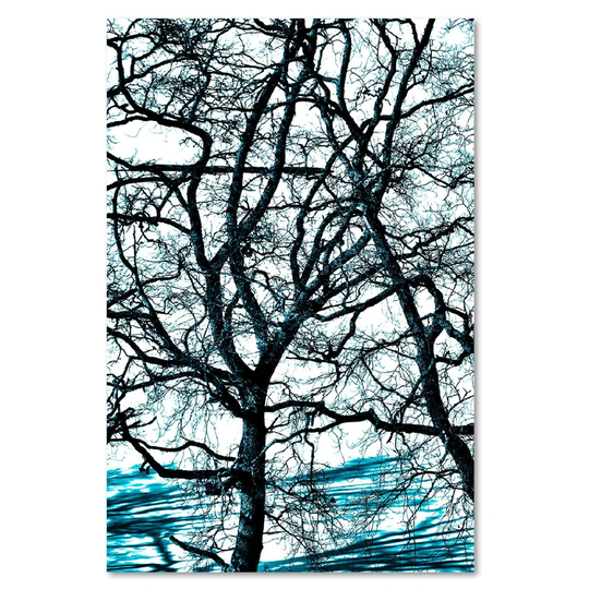 Canvas Print, Blue Landscapes 16363