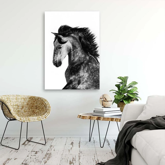 Canvas Print Horse Animals Galloping
