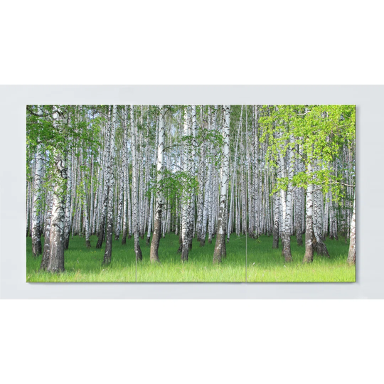 Birch Forest Magnetic Wall Mounted Cork Board