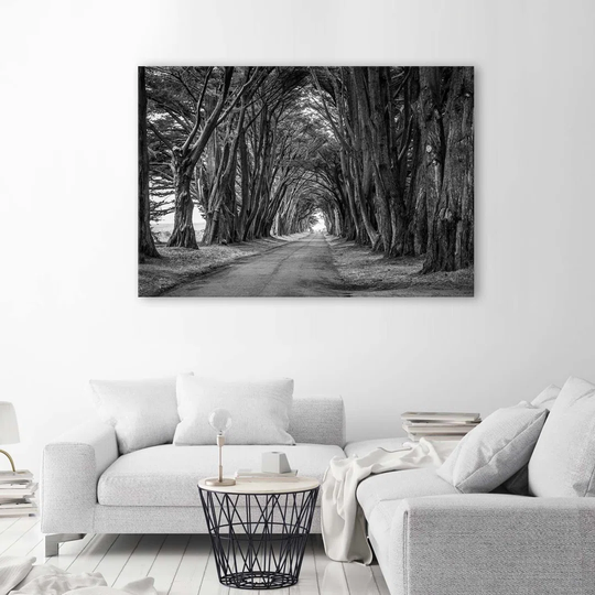 Canvas Print Trees Black White Park