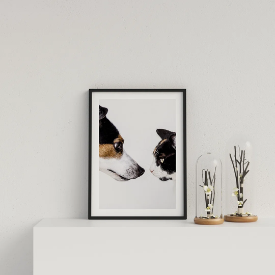 Cat and Dog Face-off by Vouvart - Picture Frame Photograph