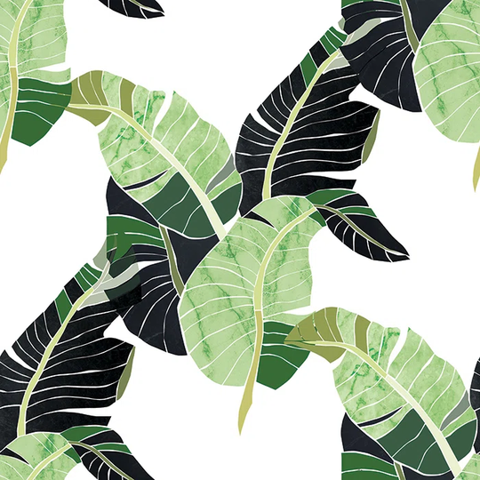 Aquila 4.16m x 2.54m Matte Wallpaper Roll