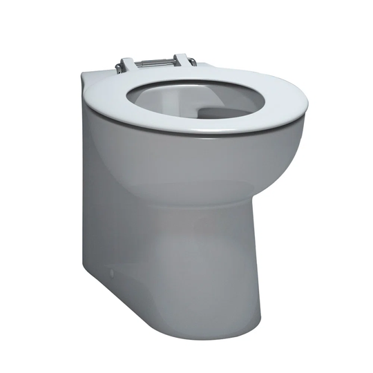 Raley Back to Wall Toilet with Flush