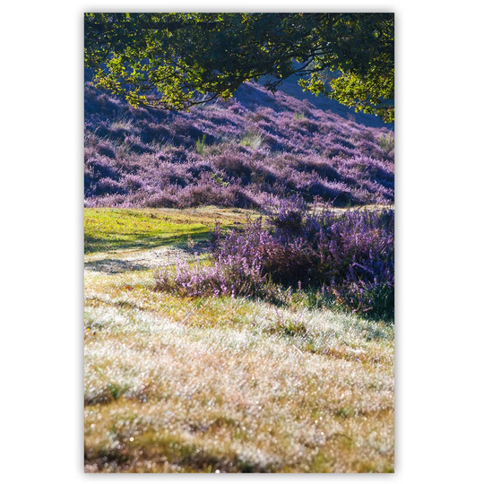 Canvas Print, Colorful Landscapes 16305