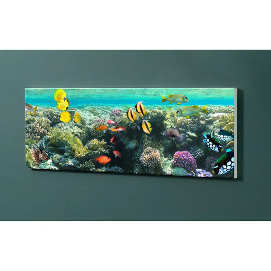 Notiz Motive Riff Magnetic Wall Mounted Cork Board