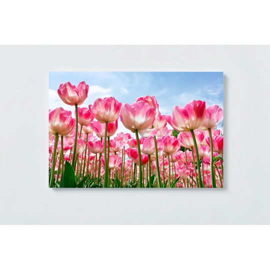 Tulip Motif Magnetic Wall Mounted Cork Board