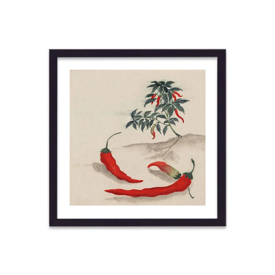 Vintage Japanese Vegetable Red Chilli by Vouvart - Picture Frame Graphic Art