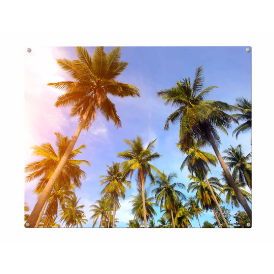 Palm Trees Magnetic Wall Mounted Photo Memo Board