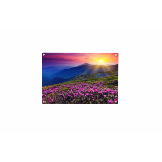 Sunset Meadow Magnetic Wall Mounted Photo Memo Board