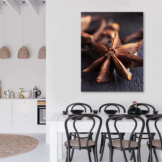 Canvas Print Aniseed Spice Nature