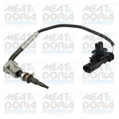 Sensor, exhaust gas temperature 12434