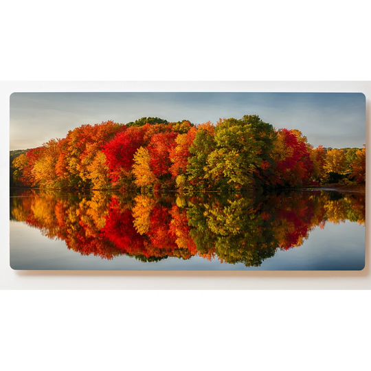 Backlight Motive Wall Picture Lake Forest Magnetic Cork Board