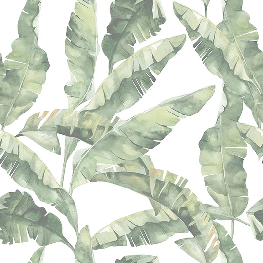 Walllpaper Roll 416X254cm Wallpaper Material With Print Mural Decoration Kitchen Livingroom Bedroom - Utensil Banana Leaves Alternative Drawing