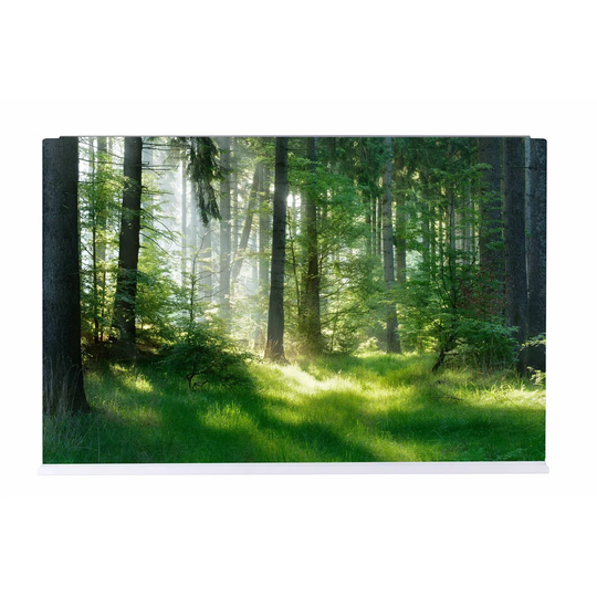Forest tree Magnetic Wall Mounted Photo Memo Board