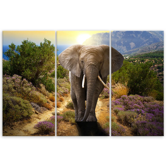 Canvas Print Elephant Safari Africa Nature
